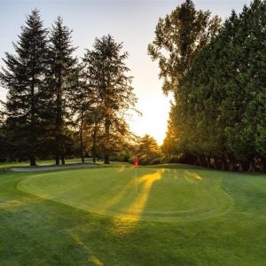Pitt Meadows Golf Course May 2018-124 small
